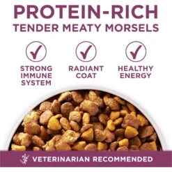 Purina ONE +Plus High Protein Healthy Puppy Formula Dry Puppy Food 13 Purina ONE +Plus High Protein Healthy Puppy Formula Dry Puppy Food -Blue Buffalo || ROYAL CANIN || Wellness Sales 355892 PT2. AC SS1800 V1640200950