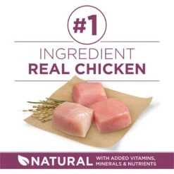 Purina ONE +Plus High Protein Healthy Puppy Formula Dry Puppy Food 14 Purina ONE +Plus High Protein Healthy Puppy Formula Dry Puppy Food -Blue Buffalo || ROYAL CANIN || Wellness Sales 355892 PT3. AC SS1800 V1640227661