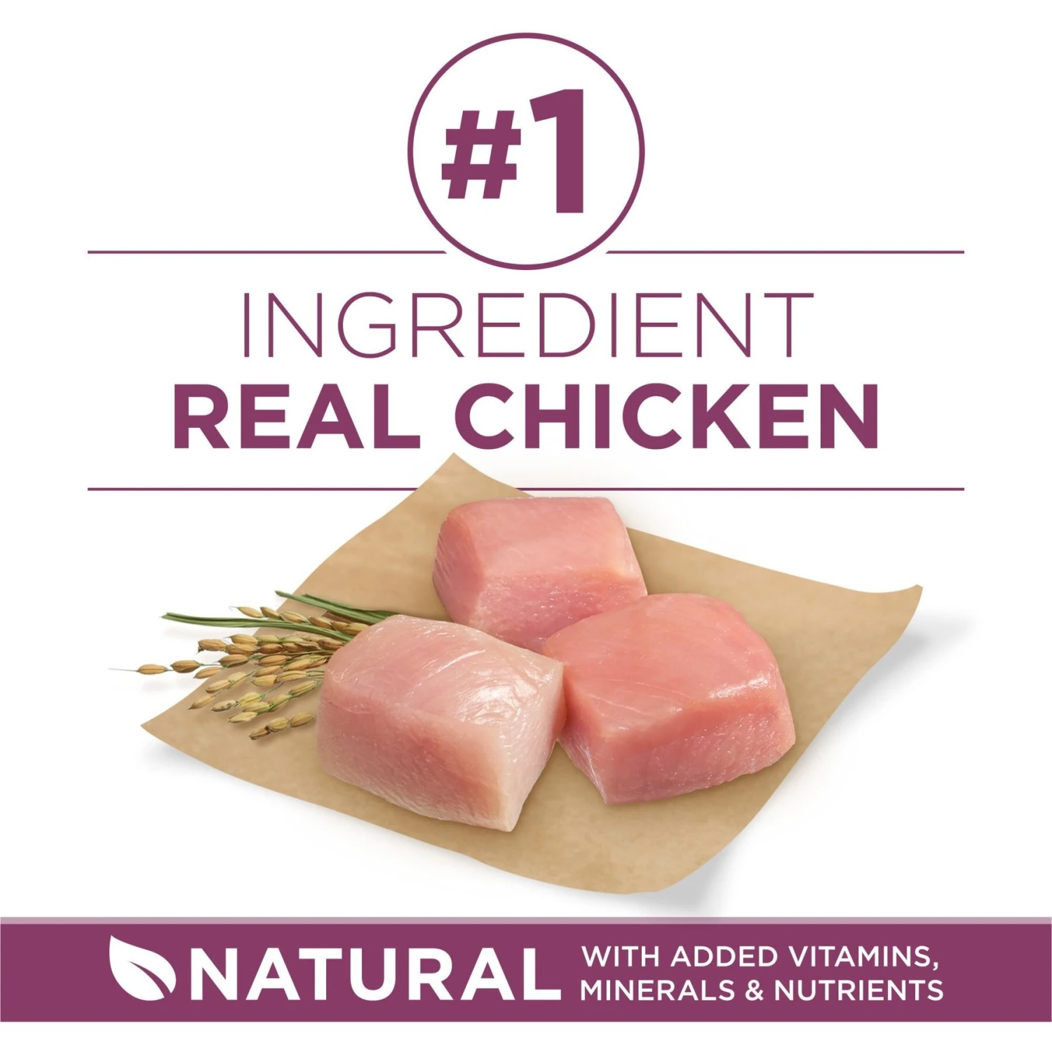 Purina ONE +Plus High Protein Healthy Puppy Formula Dry Puppy Food 6 Purina ONE +Plus High Protein Healthy Puppy Formula Dry Puppy Food - Image 4