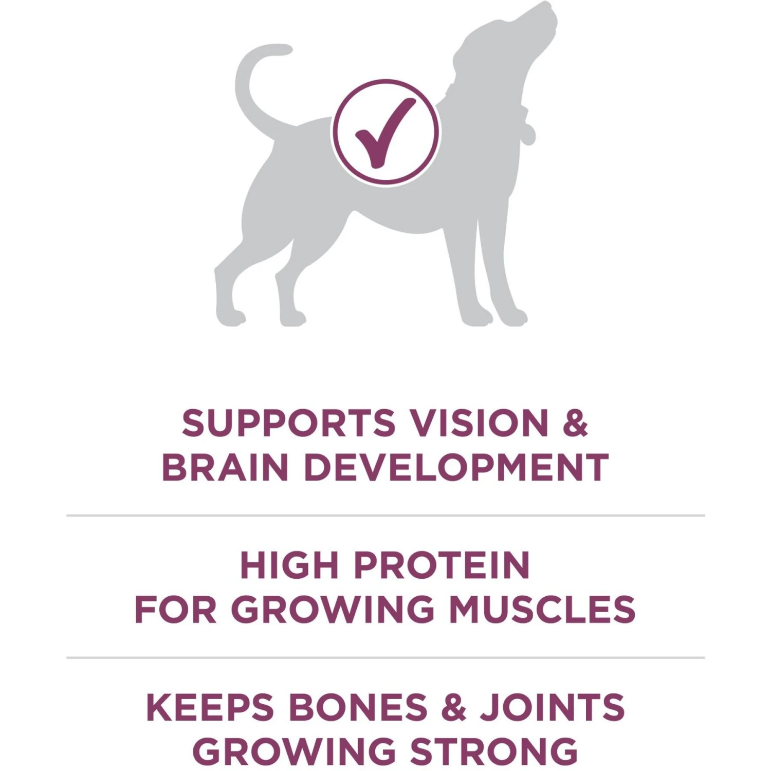 Purina ONE +Plus High Protein Healthy Puppy Formula Dry Puppy Food 7 Purina ONE +Plus High Protein Healthy Puppy Formula Dry Puppy Food - Image 5