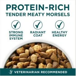 Purina ONE +Plus Natural Large Breed Formula Dry Puppy Food -Blue Buffalo || ROYAL CANIN || Wellness Sales 355894 PT2. AC SS1800 V1676318636