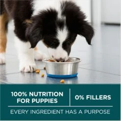 Purina ONE +Plus Natural Large Breed Formula Dry Puppy Food -Blue Buffalo || ROYAL CANIN || Wellness Sales 355894 PT6. AC SS1800 V1676319357