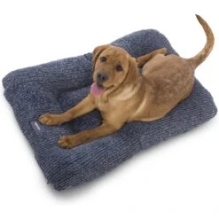 West Paw Heyday Dog Bed -Blue Buffalo || ROYAL CANIN || Wellness Sales 356423 PT2. AC SS1800 V1642467698