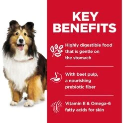 Hill's Science Diet Adult Sensitive Stomach & Skin Chicken & Vegetable Entrée Canned Dog Food & Hill's Science Diet Adult Sensitive Stomach & Skin Grain-Free Salmon & Vegetable Entree Canned Dog Food -Blue Buffalo || ROYAL CANIN || Wellness Sales 356838 PT8. AC SS1800 V1640896293