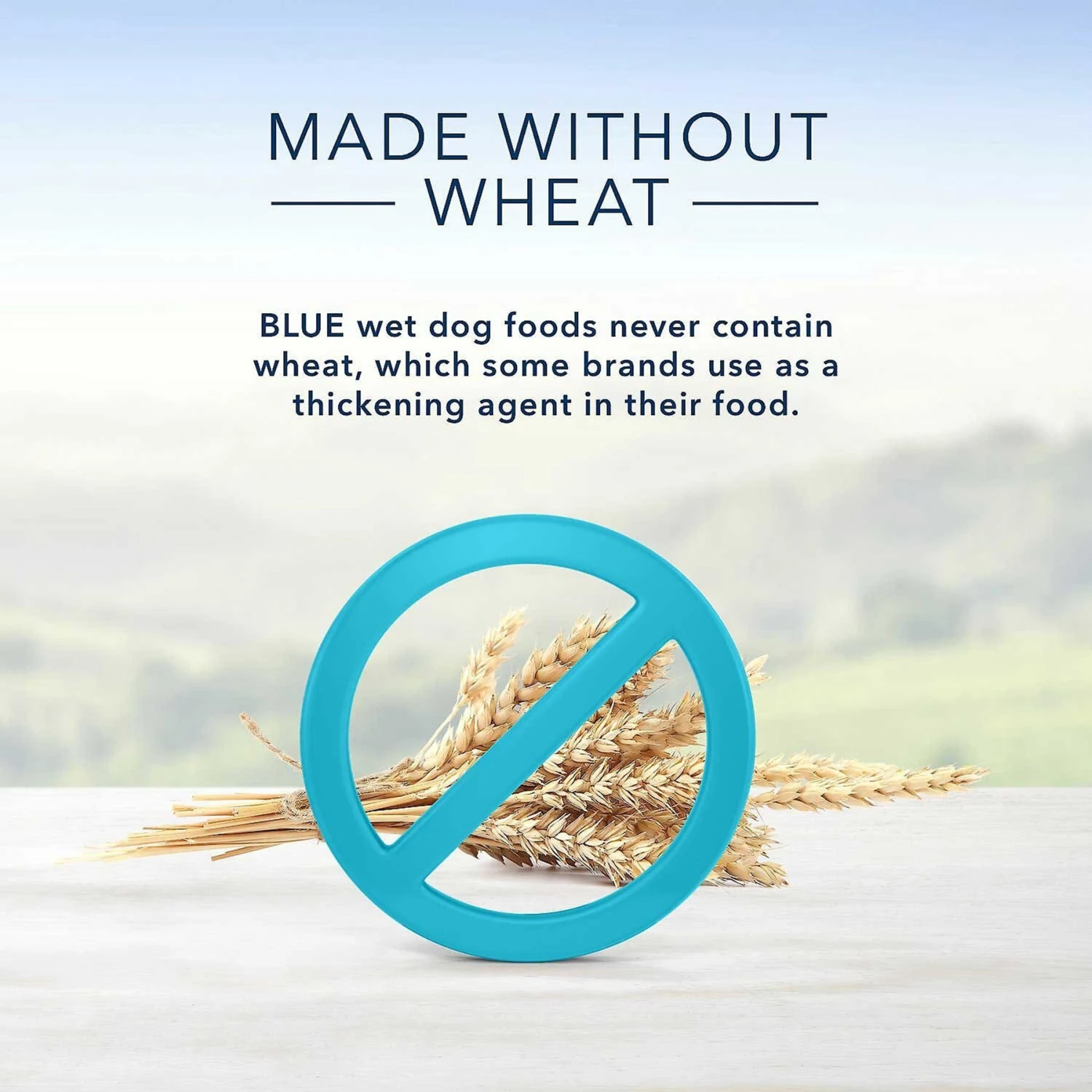 Blue Buffalo Homestyle Recipe Lamb Dinner With Garden Vegetables Canned Dog Food & Blue Buffalo Homestyle Recipe Beef Dinner With Garden Vegetables & Sweet Potatoes Canned Dog Food 11 Blue Buffalo Homestyle Recipe Lamb Dinner With Garden Vegetables Canned Dog Food & Blue Buffalo Homestyle Recipe Beef Dinner With Garden Vegetables & Sweet Potatoes Canned Dog Food - Image 9