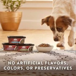 True Acre Foods Hearty Stews, Chicken & Vegetable Recipe, Wet Dog Food 17 True Acre Foods Hearty Stews, Chicken & Vegetable Recipe, Wet Dog Food -Blue Buffalo || ROYAL CANIN || Wellness Sales 356994 PT7. AC SS1800 V1640889405