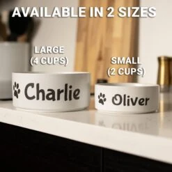 GoTags Personalized Dog Bowl, White 7 GoTags Personalized Dog Bowl, White -Blue Buffalo || ROYAL CANIN || Wellness Sales 357167 PT3. AC SS1800 V1645492007