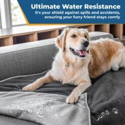 GoTags Personalized Dog Blanket -Blue Buffalo || ROYAL CANIN || Wellness Sales 357892 PT4. AC SS1800 V1643224287