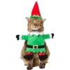 Frisco Front Walking Elf Dog & Cat Costume -Blue Buffalo || ROYAL CANIN || Wellness Sales 357956 MAIN. AC SS1800 V1660758114