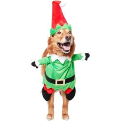 Frisco Front Walking Elf Dog & Cat Costume 14 Frisco Front Walking Elf Dog & Cat Costume -Blue Buffalo || ROYAL CANIN || Wellness Sales 357956 PT3. AC SS1800 V1660760416