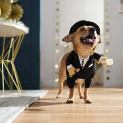 Frisco Front Walking New Years Tuxedo Dog & Cat Costume 18 Frisco Front Walking New Years Tuxedo Dog & Cat Costume -Blue Buffalo || ROYAL CANIN || Wellness Sales 358028 PT7. AC SS1800 V1661799888