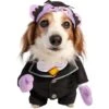 Pet Krewe Sesame Street The Count Dog Costume -Blue Buffalo || ROYAL CANIN || Wellness Sales 361125 MAIN. AC SS1800 V1649195836