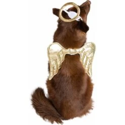 Pet Krewe Angel Wings Gold Dog Costume, One Size -Blue Buffalo || ROYAL CANIN || Wellness Sales 361134 PT2. AC SS1800 V1648073896