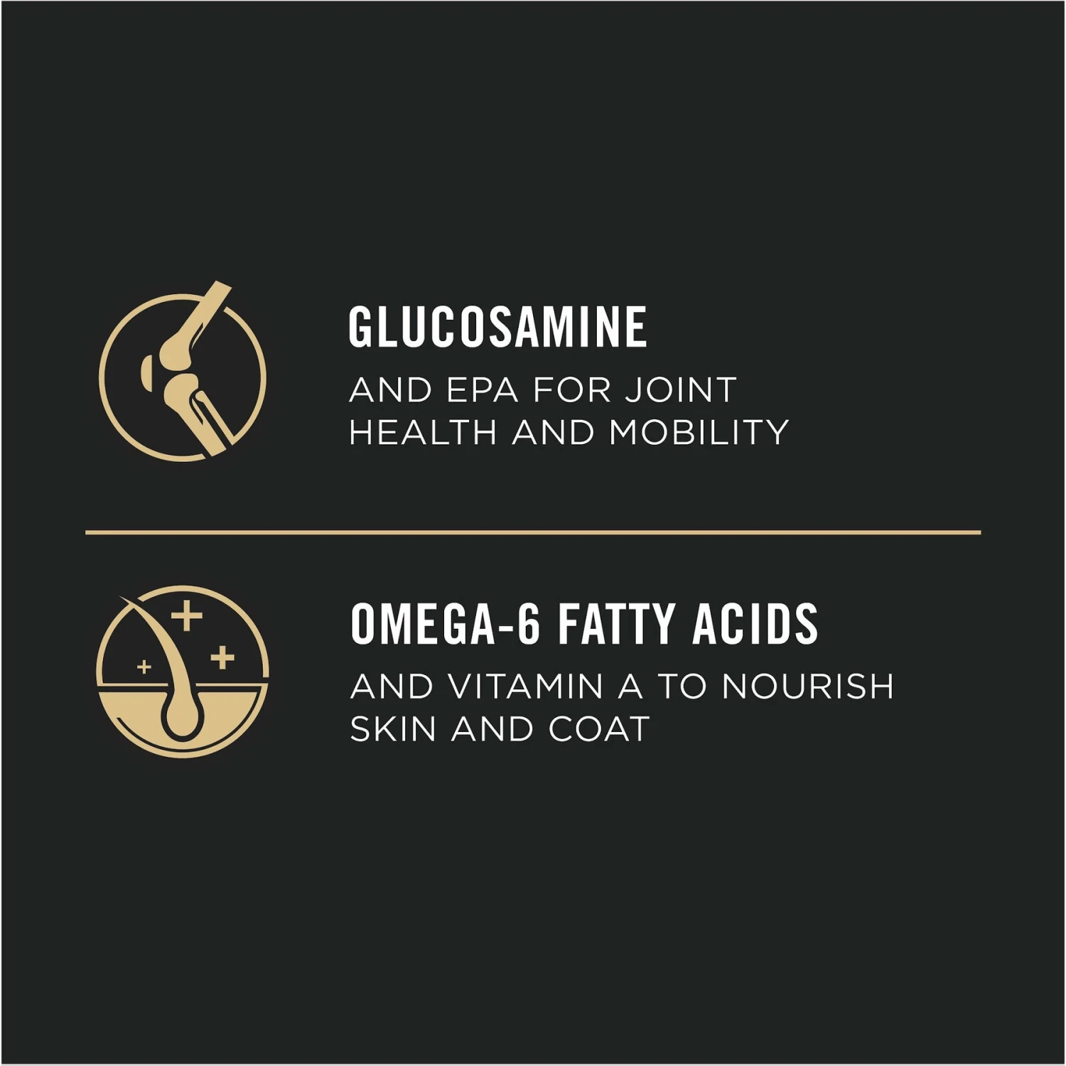 Purina Pro Plan Calm & Balanced Chicken & Rice Calming Dog Dry Food 9 Purina Pro Plan Calm & Balanced Chicken & Rice Calming Dog Dry Food - Image 7