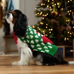 Frisco Penguin Dog & Cat Ugly Sweater -Blue Buffalo || ROYAL CANIN || Wellness Sales 361496 PT7. AC SS1800 V1661799268