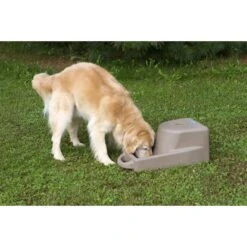 Dakota 283 Dash Dakota Guard Antimicrobial Dog Watering System -Blue Buffalo || ROYAL CANIN || Wellness Sales 361602 PT3. AC SS1800 V1643673455