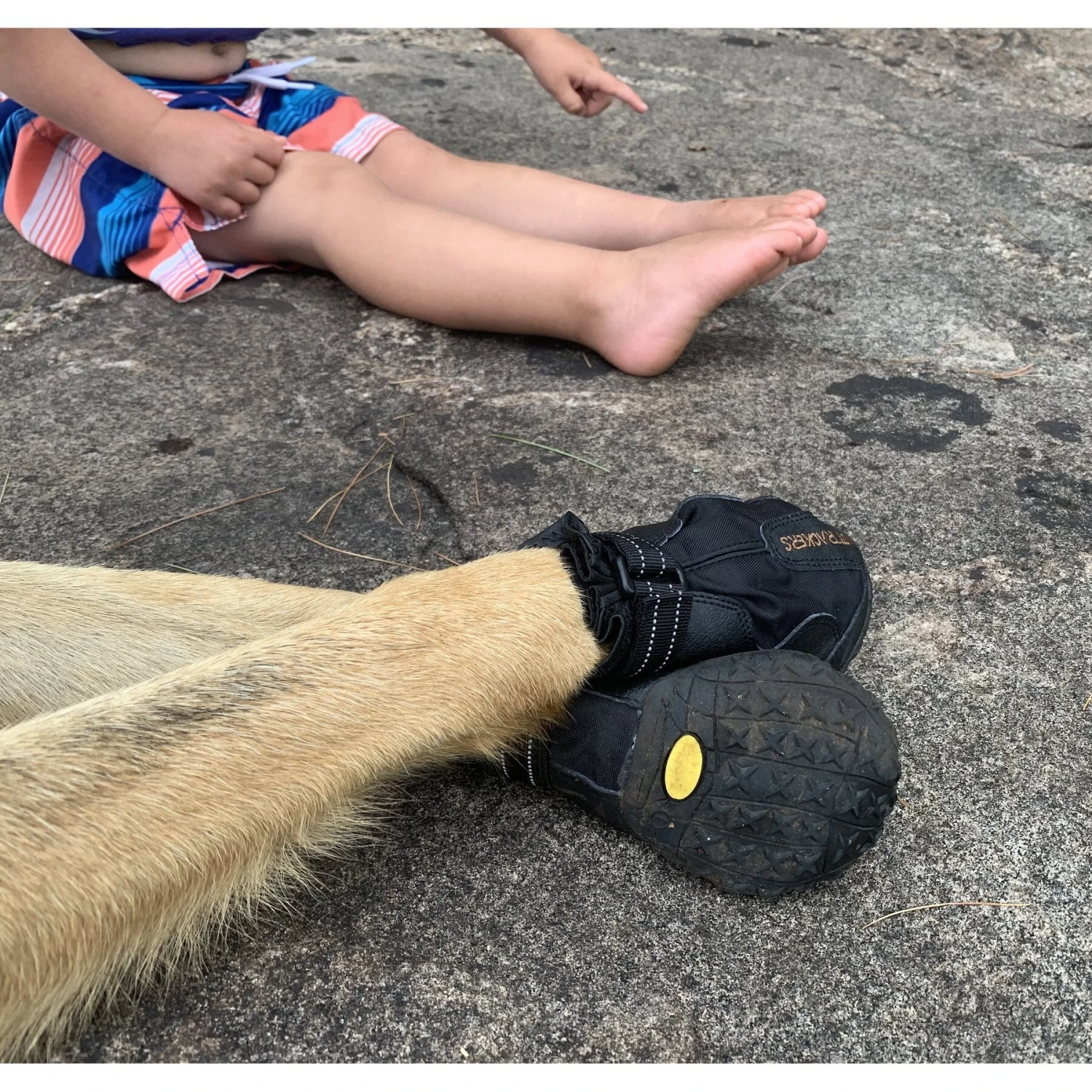 Muttluks Trackers All-Season Dog Boots, Black, 2 Count 5 Muttluks Trackers All-Season Dog Boots, Black, 2 Count - Image 3