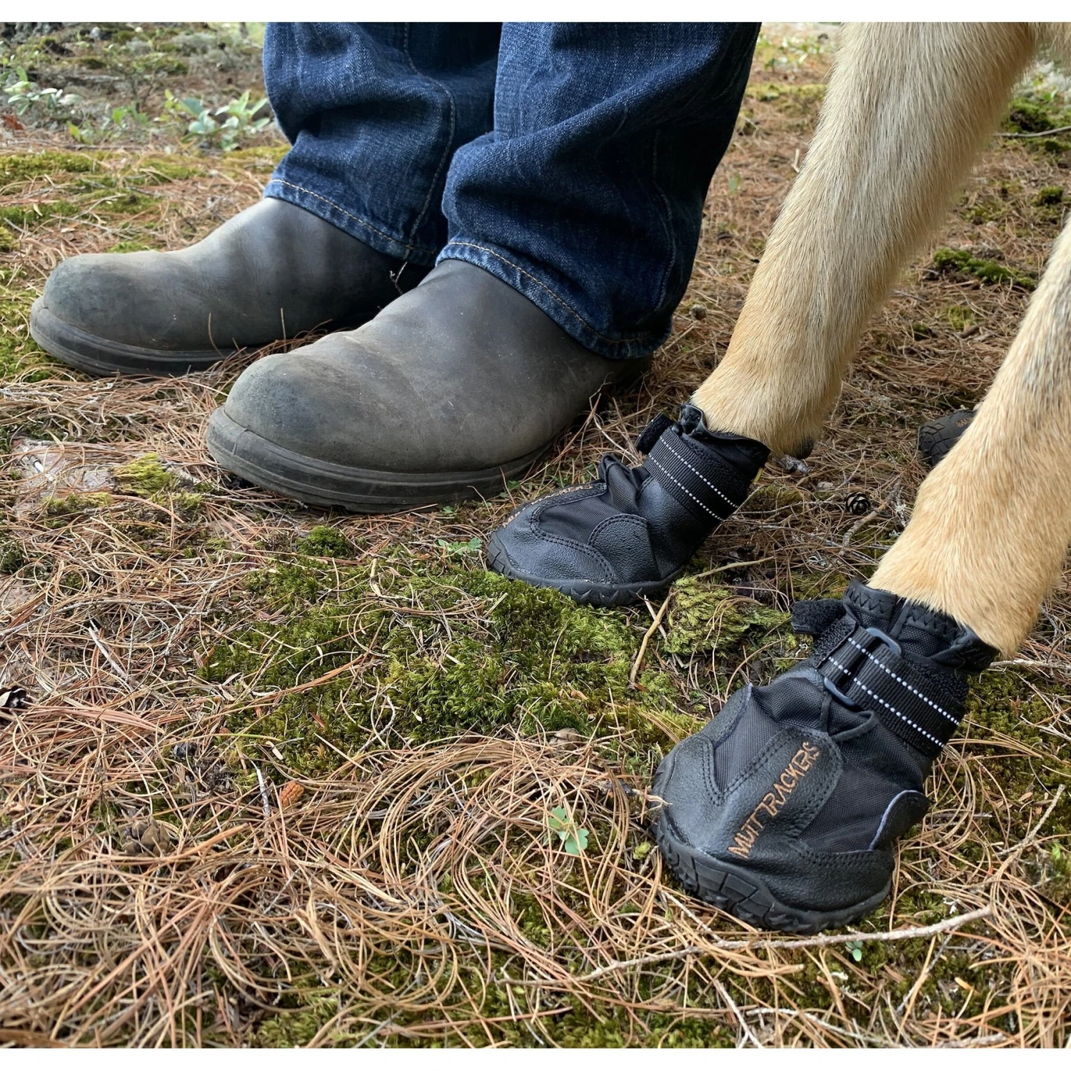 Muttluks Trackers All-Season Dog Boots, Black, 2 Count 7 Muttluks Trackers All-Season Dog Boots, Black, 2 Count - Image 5