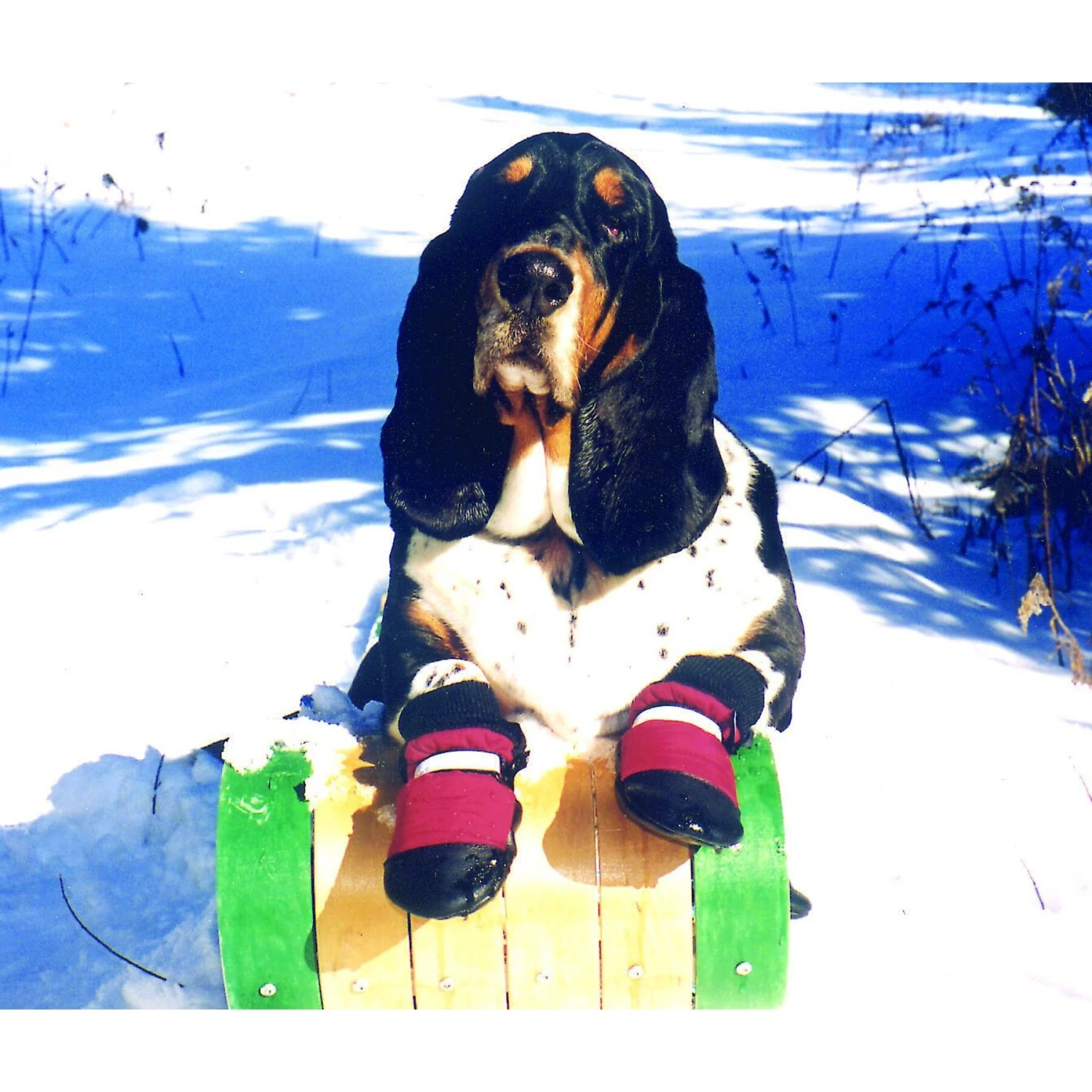 Muttluks Original Fleece-Lined Winter Dog Boots, 4 Count 5 Muttluks Original Fleece-Lined Winter Dog Boots, 4 Count - Image 3