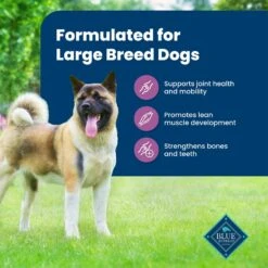 Blue Buffalo Life Protection Formula Large Breed Adult Lamb & Brown Rice Recipe Dry Dog Food -Blue Buffalo || ROYAL CANIN || Wellness Sales 361966 PT3. AC SS1800 V1702597530