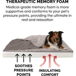 FurHaven Berber & Suede Blanket Top Memory Foam Cat & Dog Bed -Blue Buffalo || ROYAL CANIN || Wellness Sales 362081 PT6. AC SS1800 V1645657909