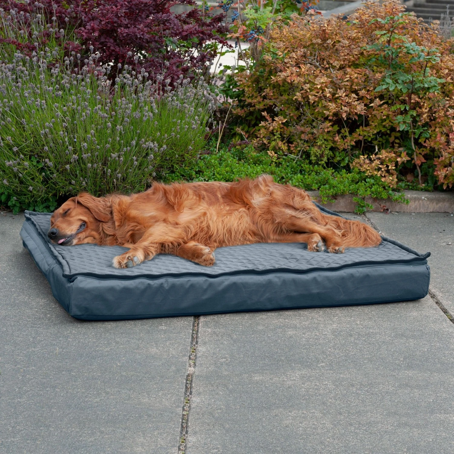 FurHaven Quilt Top Orthopedic Convertible Indoor/Outdoor Cat & Dog Bed 3 FurHaven Quilt Top Orthopedic Convertible Indoor/Outdoor Cat & Dog Bed