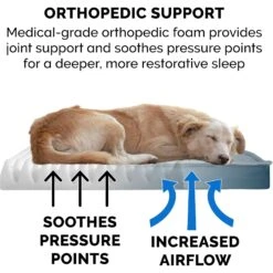 FurHaven Quilt Top Orthopedic Convertible Indoor/Outdoor Cat & Dog Bed 13 FurHaven Quilt Top Orthopedic Convertible Indoor/Outdoor Cat & Dog Bed -Blue Buffalo || ROYAL CANIN || Wellness Sales 362112 PT3. AC SS1800 V1645658812