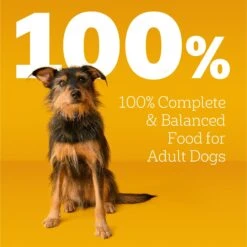 Pedigree Complete Nutrition Grilled Steak & Vegetable Flavor Dog Kibble Adult Dry Dog Food -Blue Buffalo || ROYAL CANIN || Wellness Sales 362455 PT8. AC SS1800 V1698957069