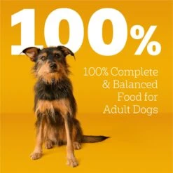 Pedigree Complete Nutrition Roasted Chicken, Rice & Vegetable Flavor Dog Kibble Adult Dry Dog Food 19 Pedigree Complete Nutrition Roasted Chicken, Rice & Vegetable Flavor Dog Kibble Adult Dry Dog Food -Blue Buffalo || ROYAL CANIN || Wellness Sales 362466 PT8. AC SS1800 V1668026553