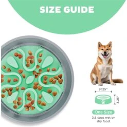 Outward Hound Fun Feeder Wobble Slo-Bowl Dog Bowl, Mint 12 Outward Hound Fun Feeder Wobble Slo-Bowl Dog Bowl, Mint -Blue Buffalo || ROYAL CANIN || Wellness Sales 363002 PT4. AC SS1800 V1694287423