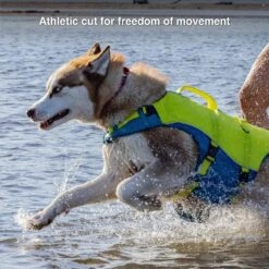 Kurgo Surf-n-Turf Dog Life Jacket 11 Kurgo Surf-n-Turf Dog Life Jacket -Blue Buffalo || ROYAL CANIN || Wellness Sales 363019 PT2. AC SS1800 V1642644765