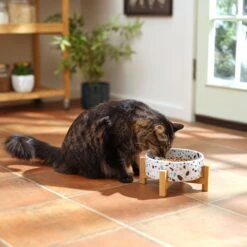 Frisco Elevated Terrazzo Non-skid Ceramic Bowl With Bamboo Stand 14 Frisco Elevated Terrazzo Non-skid Ceramic Bowl With Bamboo Stand -Blue Buffalo || ROYAL CANIN || Wellness Sales 363375 PT3. AC SS1800 V1658182548