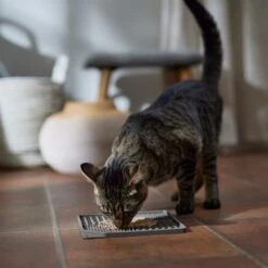 Frisco Non-skid Square Silicone Dog & Cat Lick Mat -Blue Buffalo || ROYAL CANIN || Wellness Sales 363402 PT3. AC SS1800 V1665170734