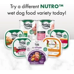 Nutro So Simple Meal Complement Chicken & Duck Recipe In Bone Broth Variety Pack Grain-Free Adult Wet Dog Food Topper -Blue Buffalo || ROYAL CANIN || Wellness Sales 363760 PT8. AC SS1800 V1702666003