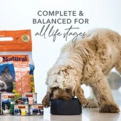 K9 Natural Grass-Fed Lamb Feast Grain-Free Canned Dog Food -Blue Buffalo || ROYAL CANIN || Wellness Sales 363944 PT2. AC SS1800 V1643677022