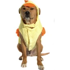 Royal Animals Chicken Dog Costume -Blue Buffalo || ROYAL CANIN || Wellness Sales 364474 PT2. AC SS1800 V1645643794