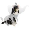 Royal Animals Elephant Dog Costume -Blue Buffalo || ROYAL CANIN || Wellness Sales 364484 MAIN. AC SS1800 V1645641698