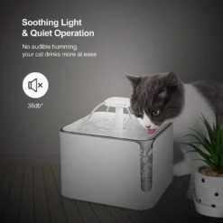 Petdiary Automatic Cat Water Fountain, White, Medium -Blue Buffalo || ROYAL CANIN || Wellness Sales 364529 PT7. AC SS1800 V1646700510