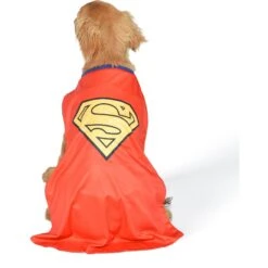 Fetch For Pets DC Comics Halloween Superman Dog Costume 9 Fetch For Pets DC Comics Halloween Superman Dog Costume -Blue Buffalo || ROYAL CANIN || Wellness Sales 364649 PT2. AC SS1800 V1659807738