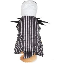 Fetch For Pets Disney Halloween Nightmare Before Christmas Jack Skellington Dog Costume -Blue Buffalo || ROYAL CANIN || Wellness Sales 364742 PT2. AC SS1800 V1659807504