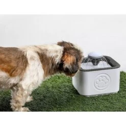 PawPerfect Cat & Dog Water Fountain, White -Blue Buffalo || ROYAL CANIN || Wellness Sales 365301 PT3. AC SS1800 V1644875801