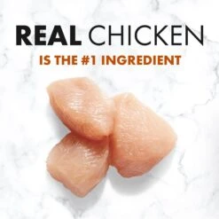 Nutro SO SIMPLE Adult Chicken & Rice Recipe Natural Dry Dog Food 14 Nutro SO SIMPLE Adult Chicken & Rice Recipe Natural Dry Dog Food -Blue Buffalo || ROYAL CANIN || Wellness Sales 366847 PT3. AC SS1800 V1702666768