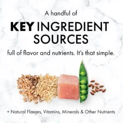Nutro SO SIMPLE Adult Chicken & Rice Recipe Natural Dry Dog Food 15 Nutro SO SIMPLE Adult Chicken & Rice Recipe Natural Dry Dog Food -Blue Buffalo || ROYAL CANIN || Wellness Sales 366847 PT4. AC SS1800 V1702666771