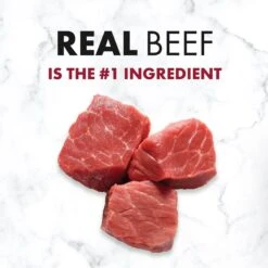 Nutro SO SIMPLE Adult Beef & Rice Recipe Natural Dry Dog Food -Blue Buffalo || ROYAL CANIN || Wellness Sales 366852 PT2. AC SS1800 V1702666794