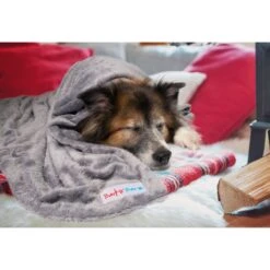 BarksBar Original Dog & Cat Throw Blanket, Gray, Large 14 BarksBar Original Dog & Cat Throw Blanket, Gray, Large -Blue Buffalo || ROYAL CANIN || Wellness Sales 366924 PT3. AC SS1800 V1643926918