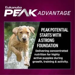 Eukanuba Premium Performance Pro Puppy Dry Dog Food 13 Eukanuba Premium Performance Pro Puppy Dry Dog Food -Blue Buffalo || ROYAL CANIN || Wellness Sales 367115 PT3. AC SS1800 V1661528755