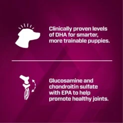 Eukanuba Premium Performance Pro Puppy Dry Dog Food 14 Eukanuba Premium Performance Pro Puppy Dry Dog Food -Blue Buffalo || ROYAL CANIN || Wellness Sales 367115 PT4. AC SS1800 V1661530855