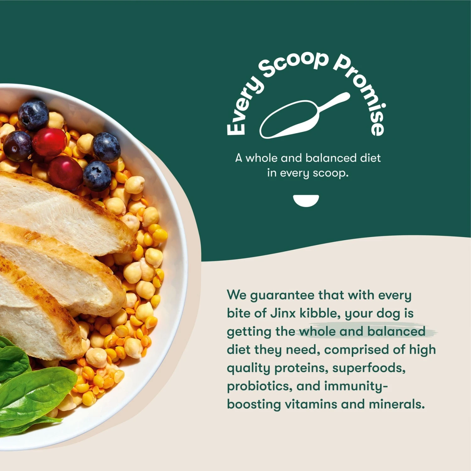 Jinx Chicken, Sweet Potato & Carrot ALS Kibble Dog Dry Food 8 Jinx Chicken, Sweet Potato & Carrot ALS Kibble Dog Dry Food - Image 6