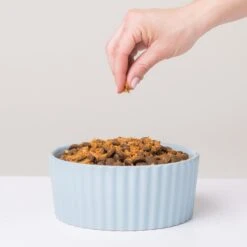 Jinx Freeze-Dried Salmon Dry Dog Food Topper, 3-oz Bag -Blue Buffalo || ROYAL CANIN || Wellness Sales 367807 PT2. AC SS1800 V1645476712