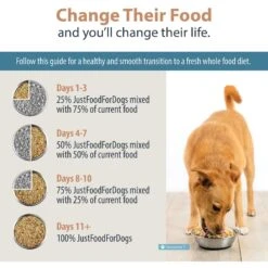 JustFoodForDogs Chicken & White Rice Recipe Frozen Human-Grade Fresh Dog Food -Blue Buffalo || ROYAL CANIN || Wellness Sales 368085 PT7. AC SS1800 V1701882862